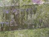 image of grave number 797203
